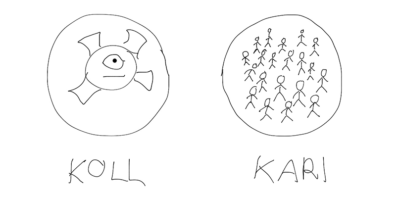 Mandi kaks poolt: koll ja kari.